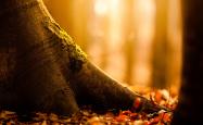 LOL决赛-构思（扩展思维）