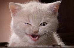 英雄联盟总决赛2025-当圣城编钟遇见西域胡旋，恩比德40+19背后，一场篮球东西方的华丽对谈