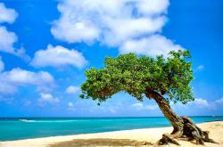 英雄联盟总决赛时间-冰与火的对决，湖人压制活塞，福克斯独舞映照赛场