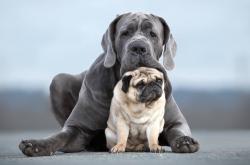 -戈麦斯的隐形手杖，一场被精密调谐的足球独奏