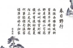 LOL赛事-北欧神话的现代回响，冰岛队以战术钢骨击碎法兰西的浪漫幻想