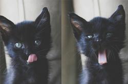 英雄联盟总决赛门票-天穹之下，唯一射手的暗与光