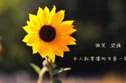 英雄联盟总决赛直播-天使低语时，防线在颤抖，36岁的迪马利亚，仍在欧冠之夜撰写大场面定义