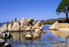 LOL决赛-东西方对话！冰火双雄碰撞！西亚卡姆独揽大局助湖人跨联盟关键战突围辽宁！