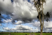 银河战舰沉没之夜：皇马止步欧冠引爆足坛的五大争议漩涡