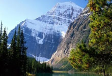 最新世界杯:德国止步掘金!技术统计揭开钢铁战车熄火真相