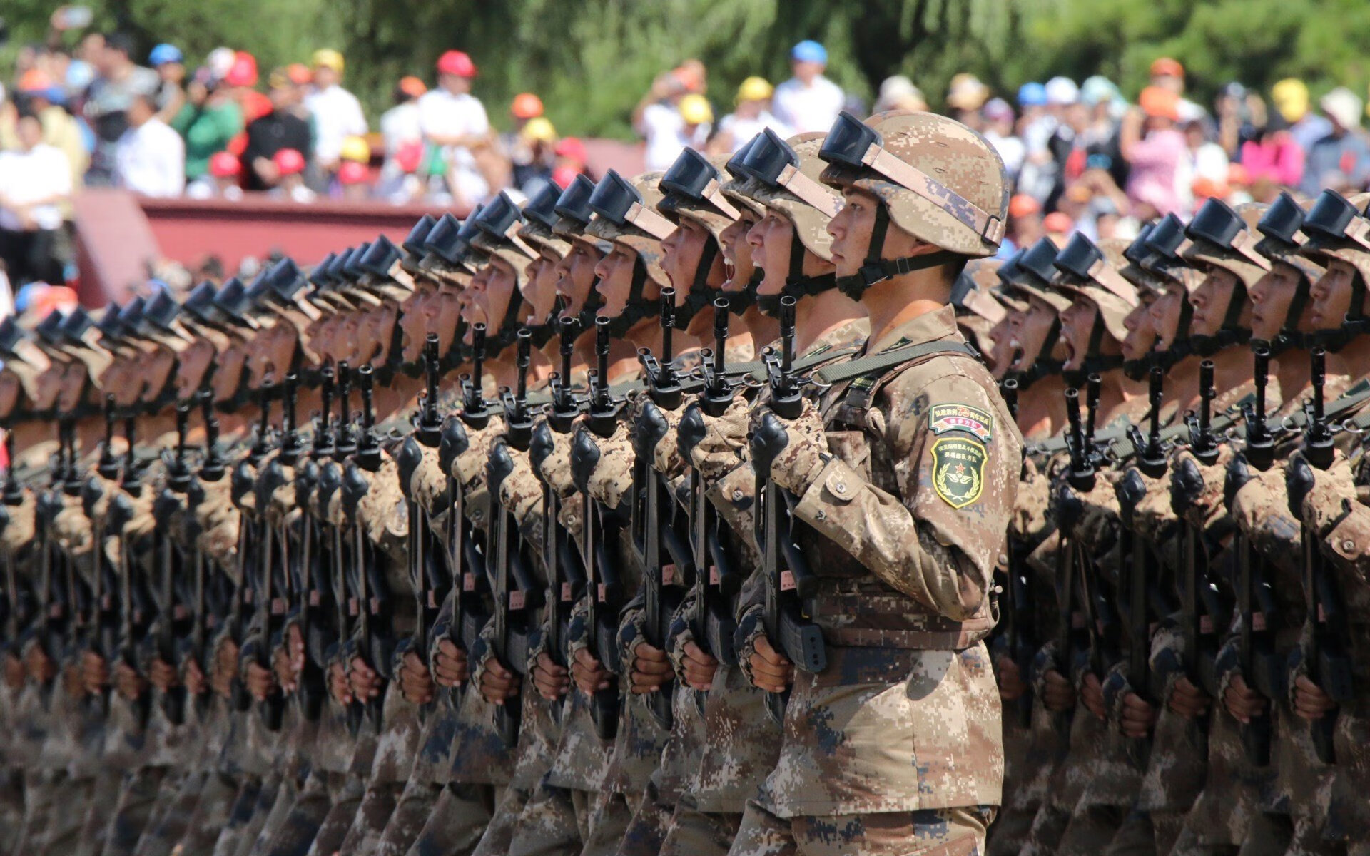 双线战场，一颗强者心，浙江鏖战擒黄蜂，塔图姆破压证英名