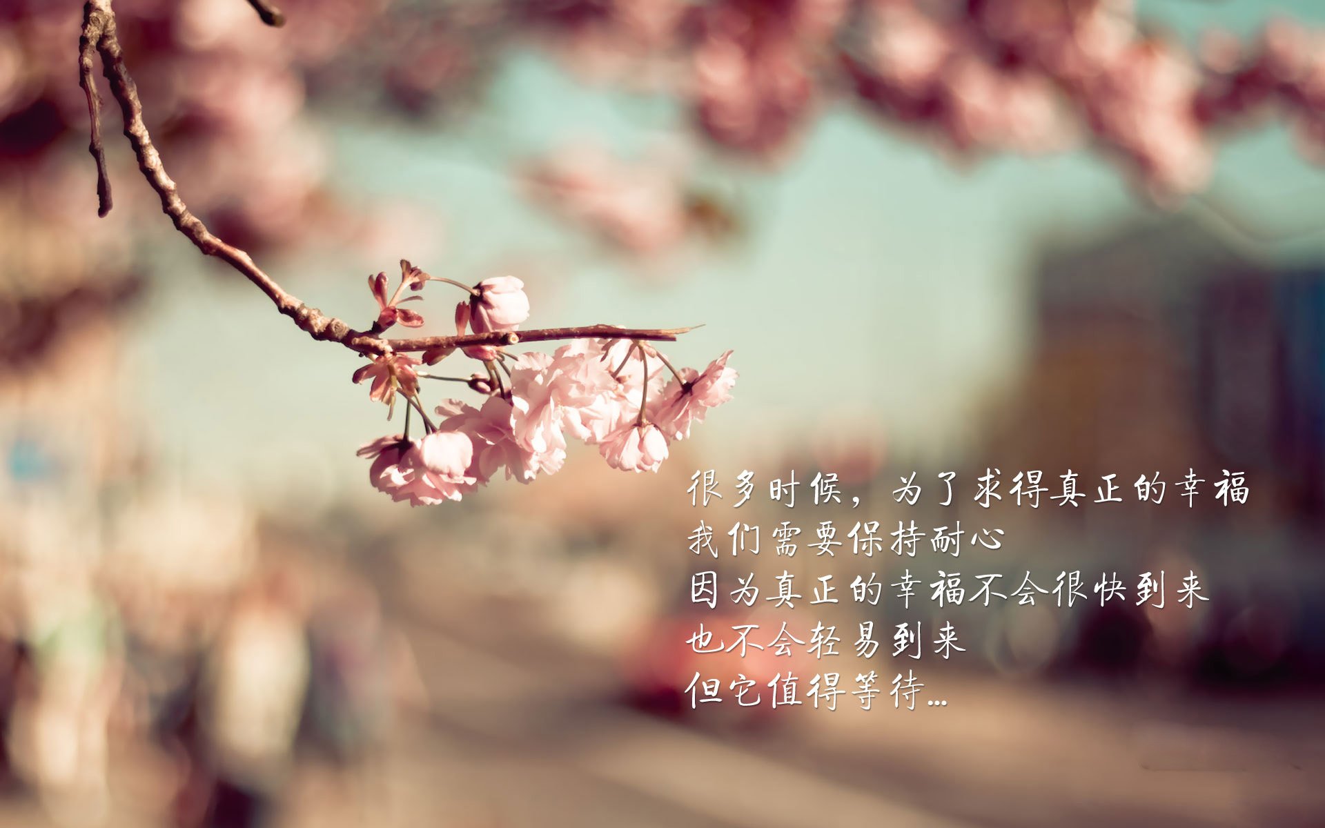 世界排名绞肉机,比利时精密碾压尼日利亚天赋,淘汰赛的残酷哲学