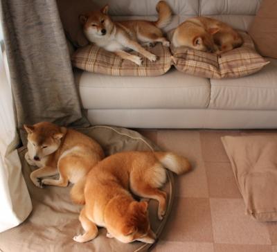 唯一性的双重奏，当孔德在达喀尔街道扣下扳机