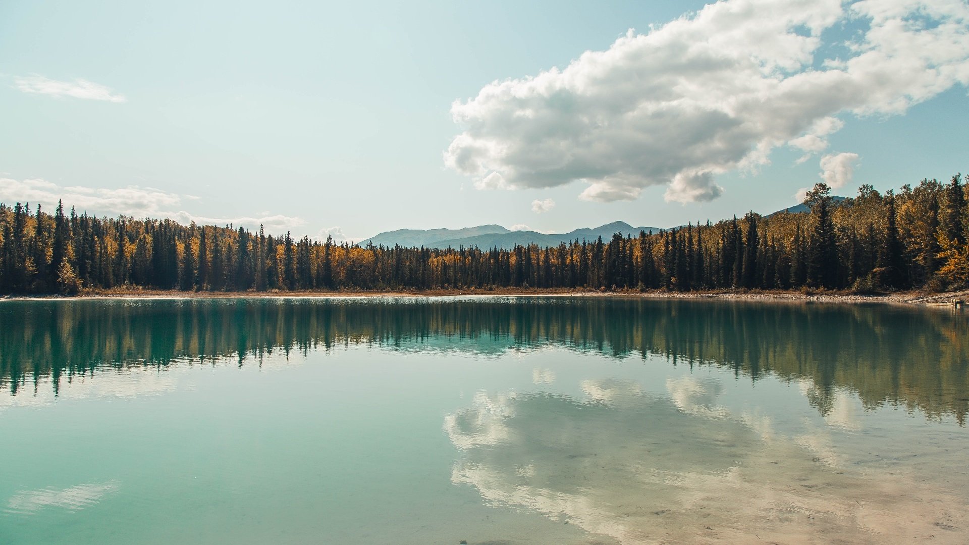 文班亚马攻防一体闪耀丹佛，掘金主场轻取奇才迎连胜