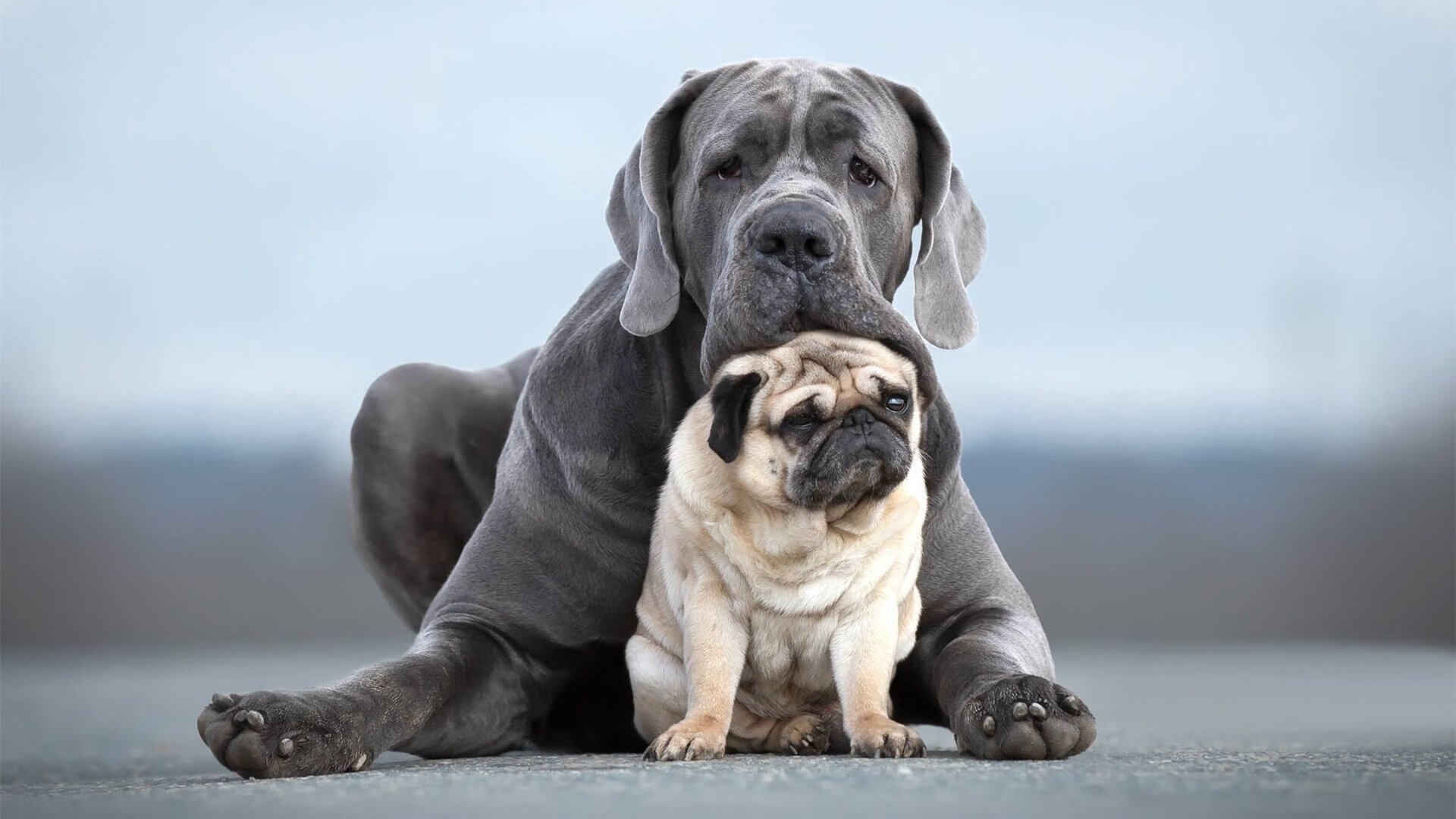 戈麦斯的隐形手杖，一场被精密调谐的足球独奏