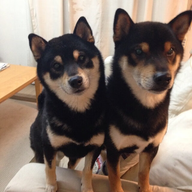 欧冠决赛之夜，蒂亚戈用数据刻下中场王座