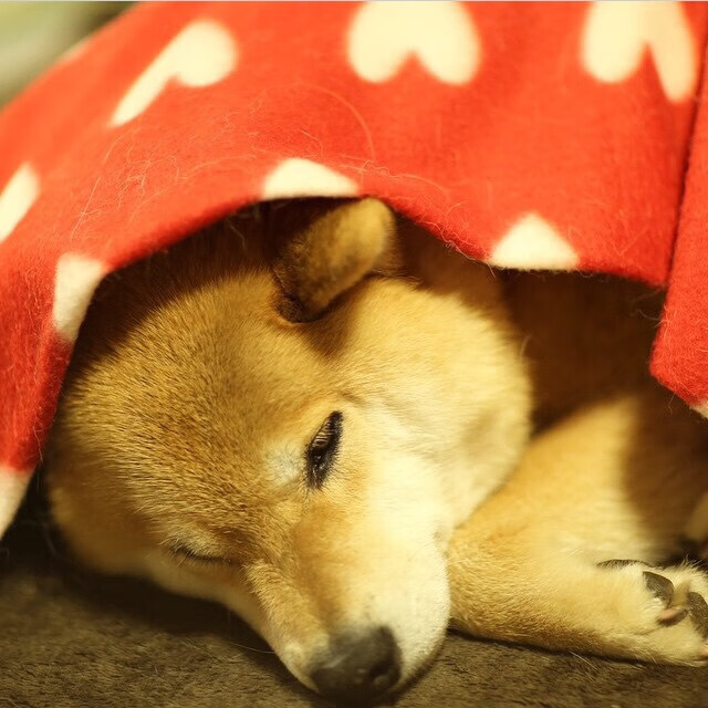 今夜属于蓝色闪电，哈弗茨全场最佳无争议，尤文图斯4-0横扫AC米兰改写赛季格局