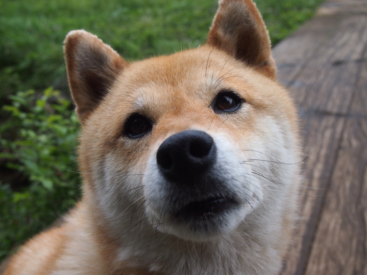 从NBA季后赛的窒息感到足球场上的系统性绞杀，为何说奥地利碾压巴萨是一场篮球式的胜利