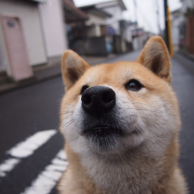 绝杀之王与亚洲魔术师，当勒沃库森逆转荷兰，李刚仁接管欧冠之夜