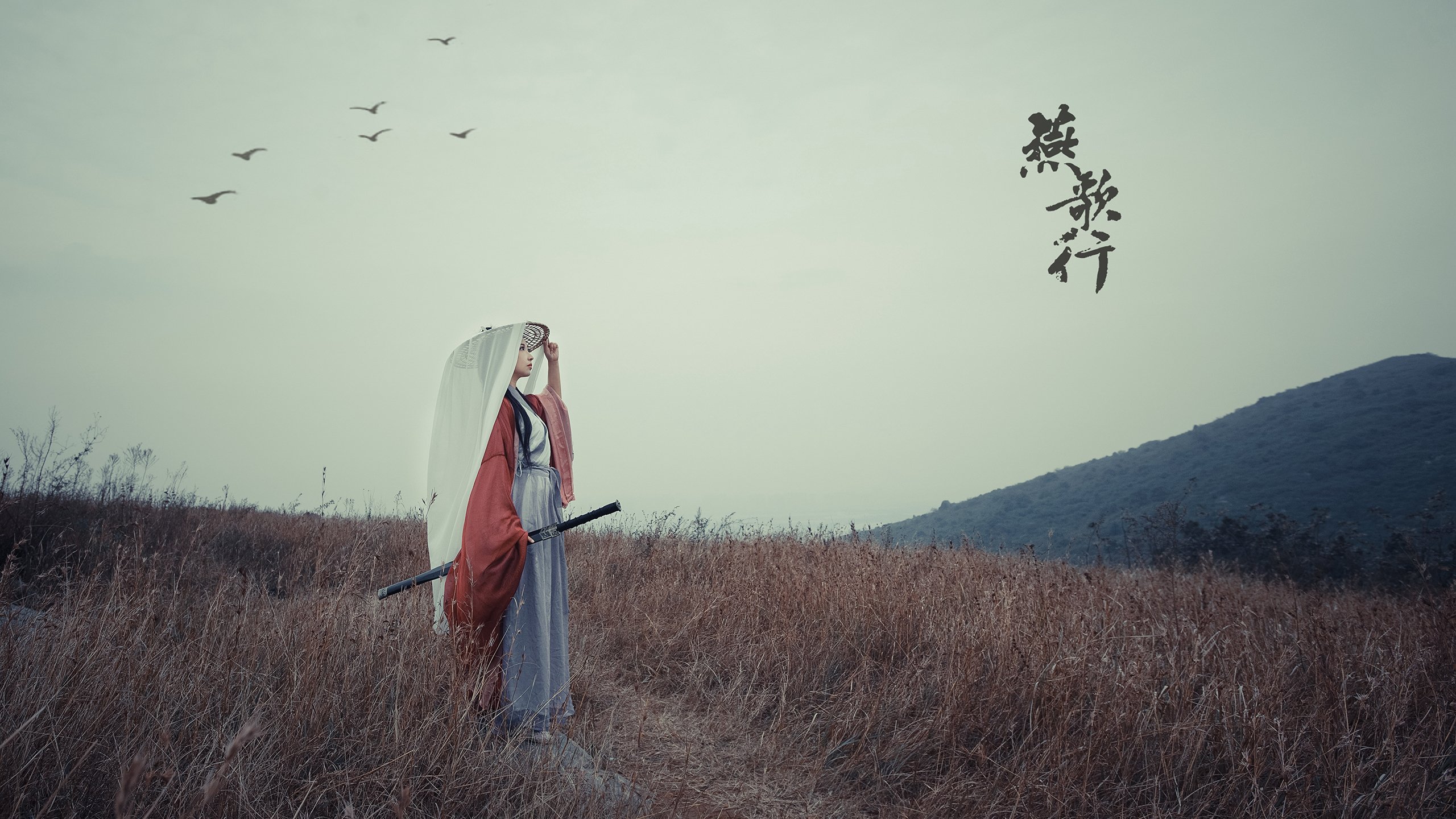 绿茵终局，波兰铁骑的乌克兰闪电战