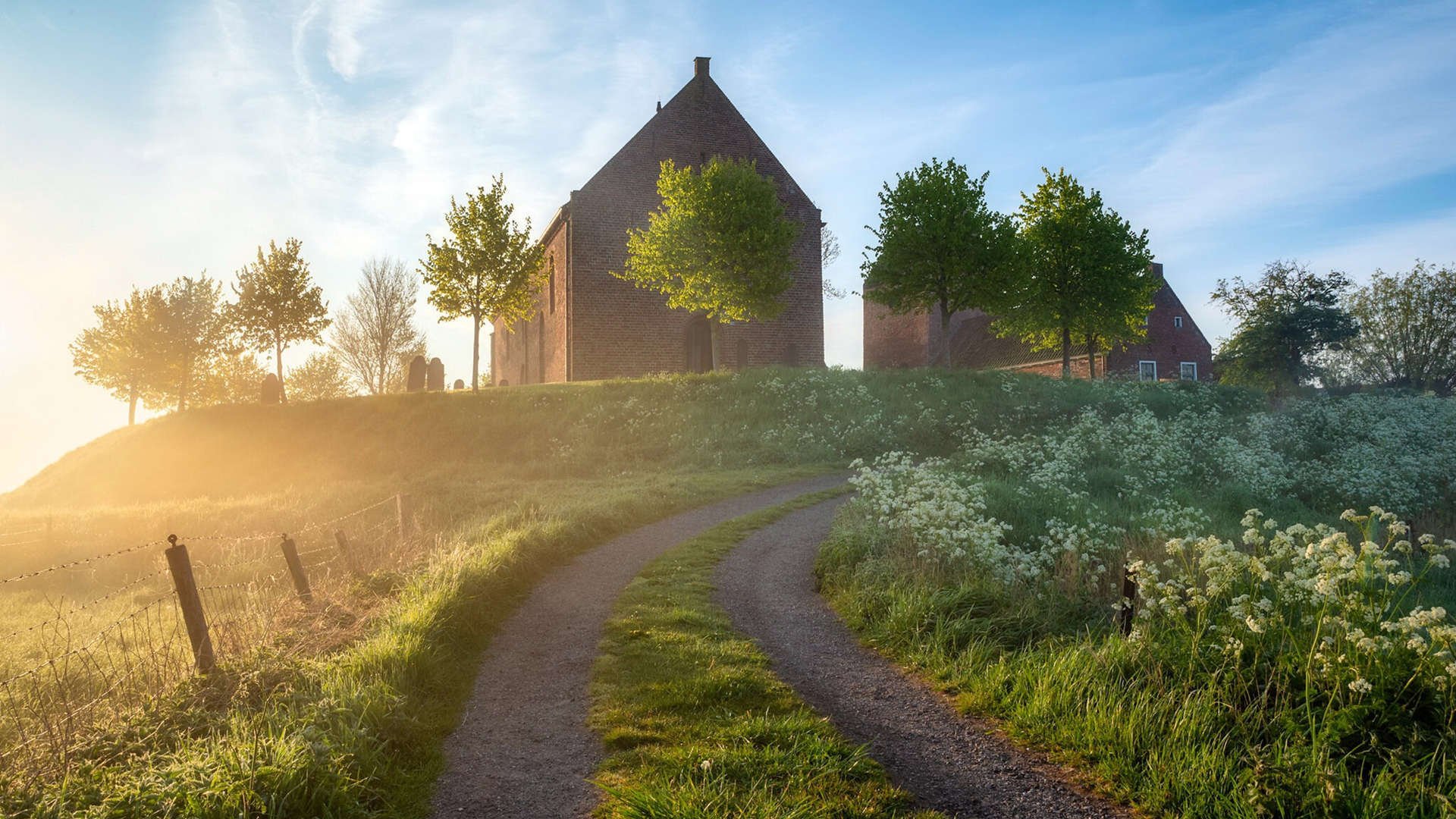 绿茵场与篮球馆的平行叙事,淘汰赛的戏剧法则