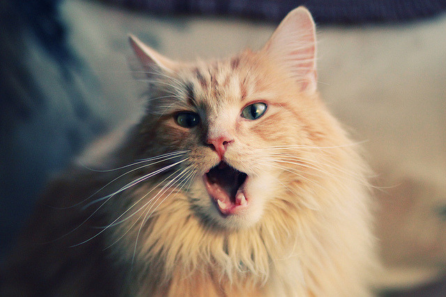 首先，让我们扩展思维，构思一个能统摄这三个元素的文章标题