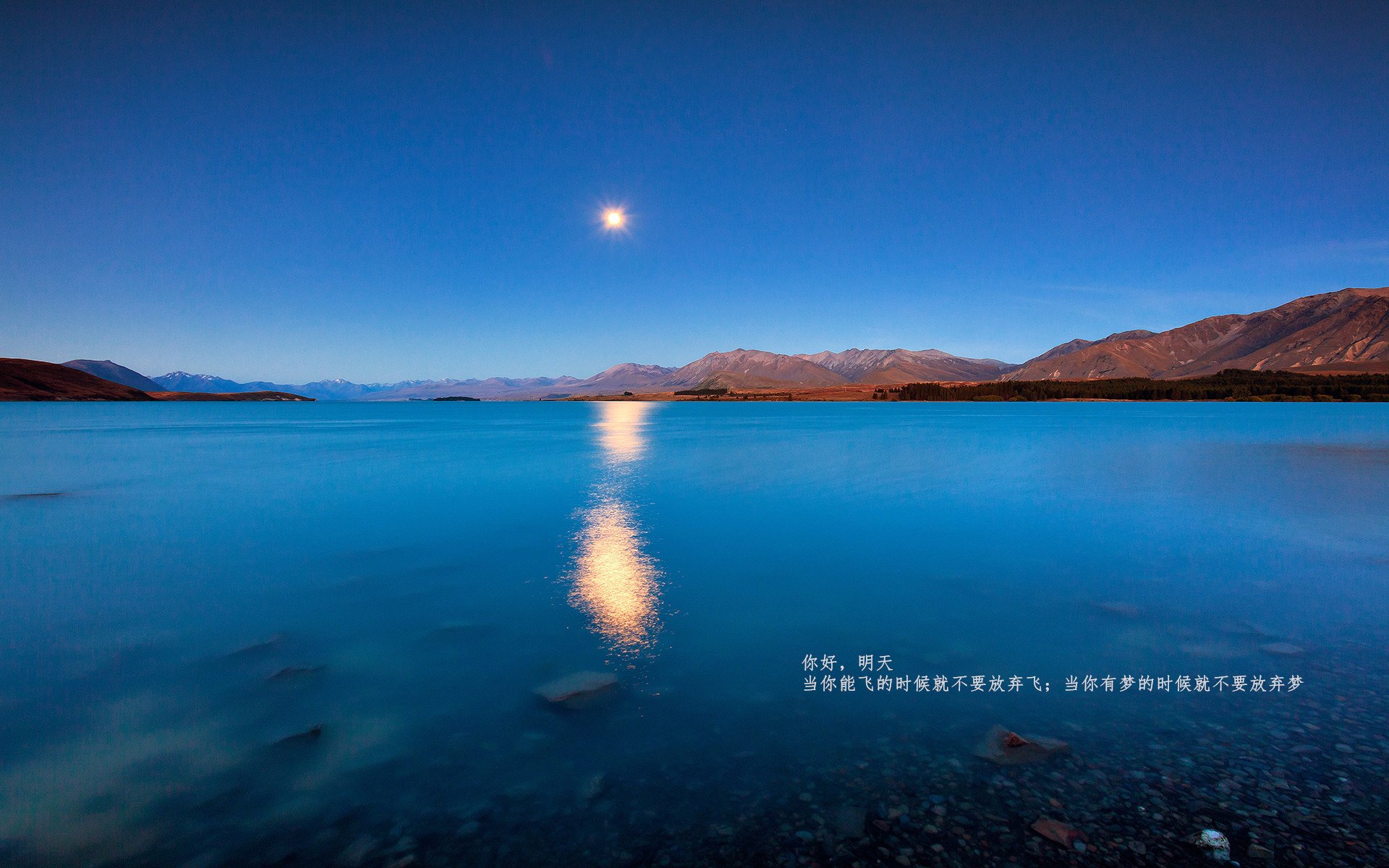 当门神成为主宰，库尔图瓦如何以一己之力改写了勒沃库森踏平拜仁的屠杀剧本