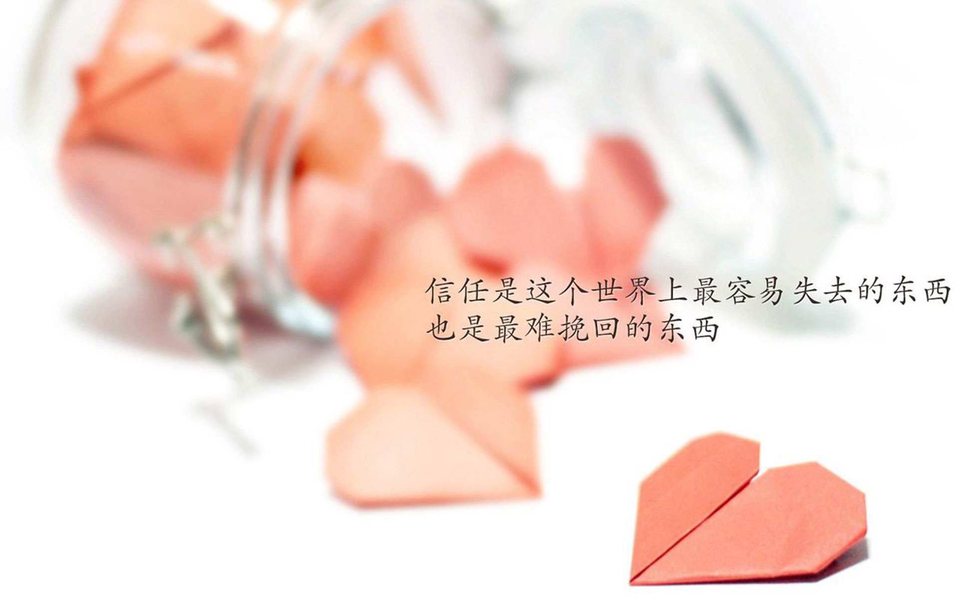 波斯铁骑的冷夜，2026世界杯黑马之战，凯恩致命一击改写历史