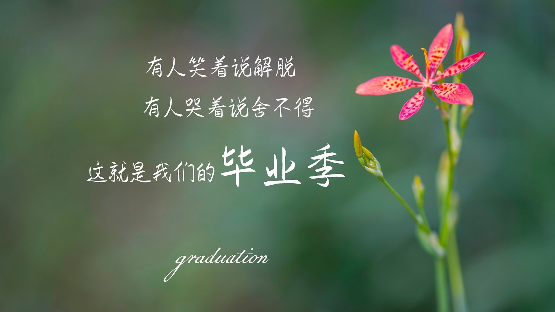 逆光之刃，当C罗在2026世界杯生死战为西班牙劈开历史